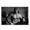 Bodybuilding Famous Character Pictures Arnold Schwarzenegger Fitness Art Posters Wall Art Canvas Painting for Gym Decor Painting